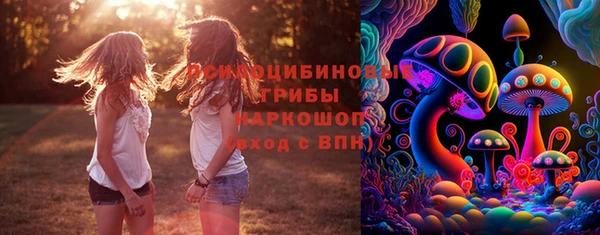 МДПВ Приозерск