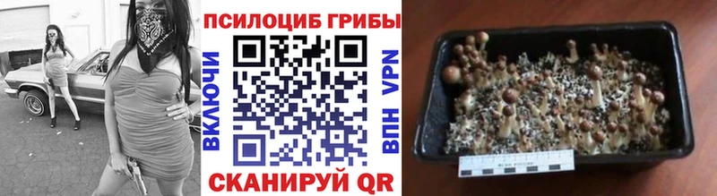 Галлюциногенные грибы ЛСД  мега tor  Щёлкино 
